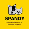 Logo-Spandy